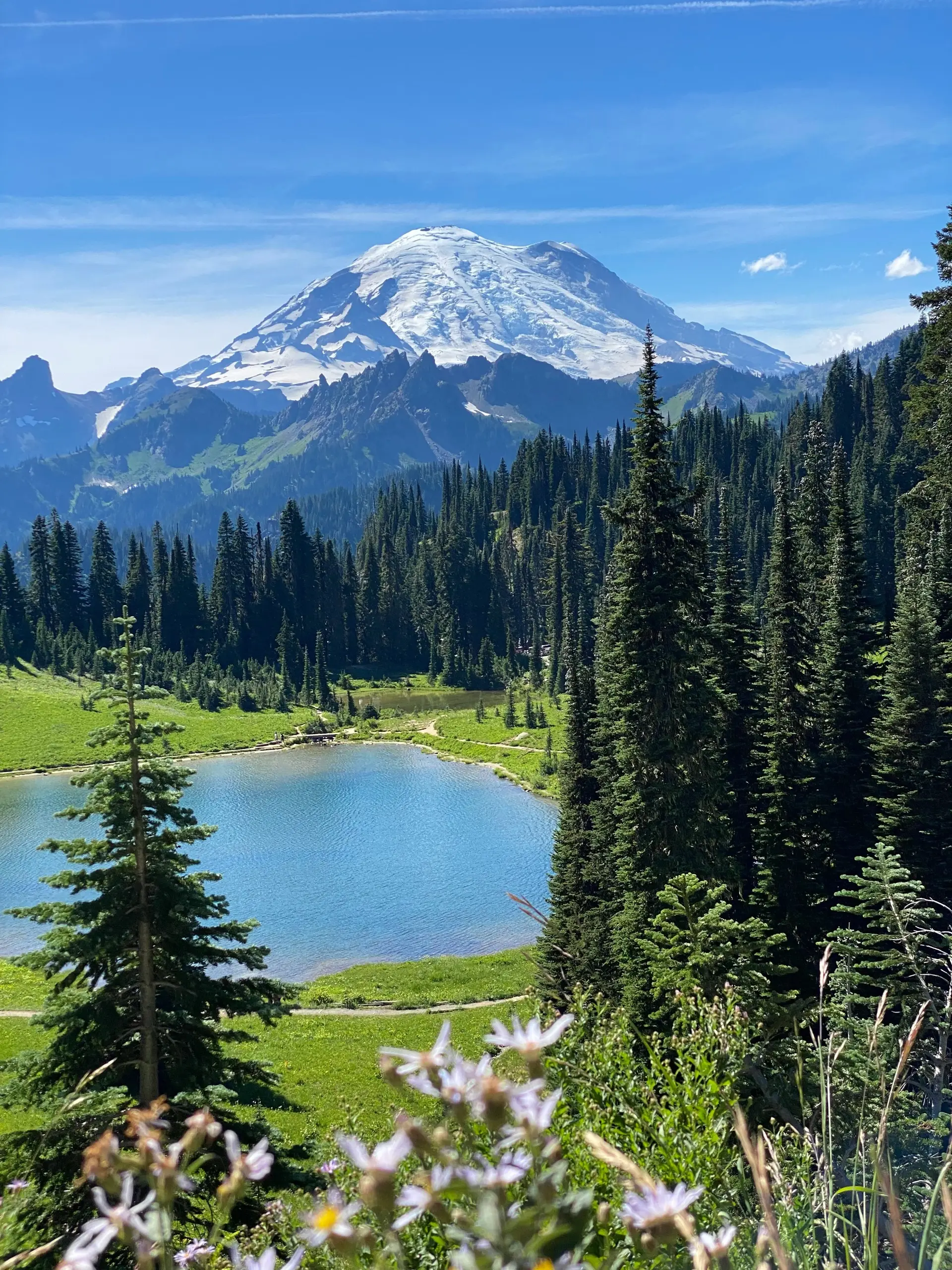 Mount Rainier above an alpine lake and wildflower meadow in the Pacific Northwest