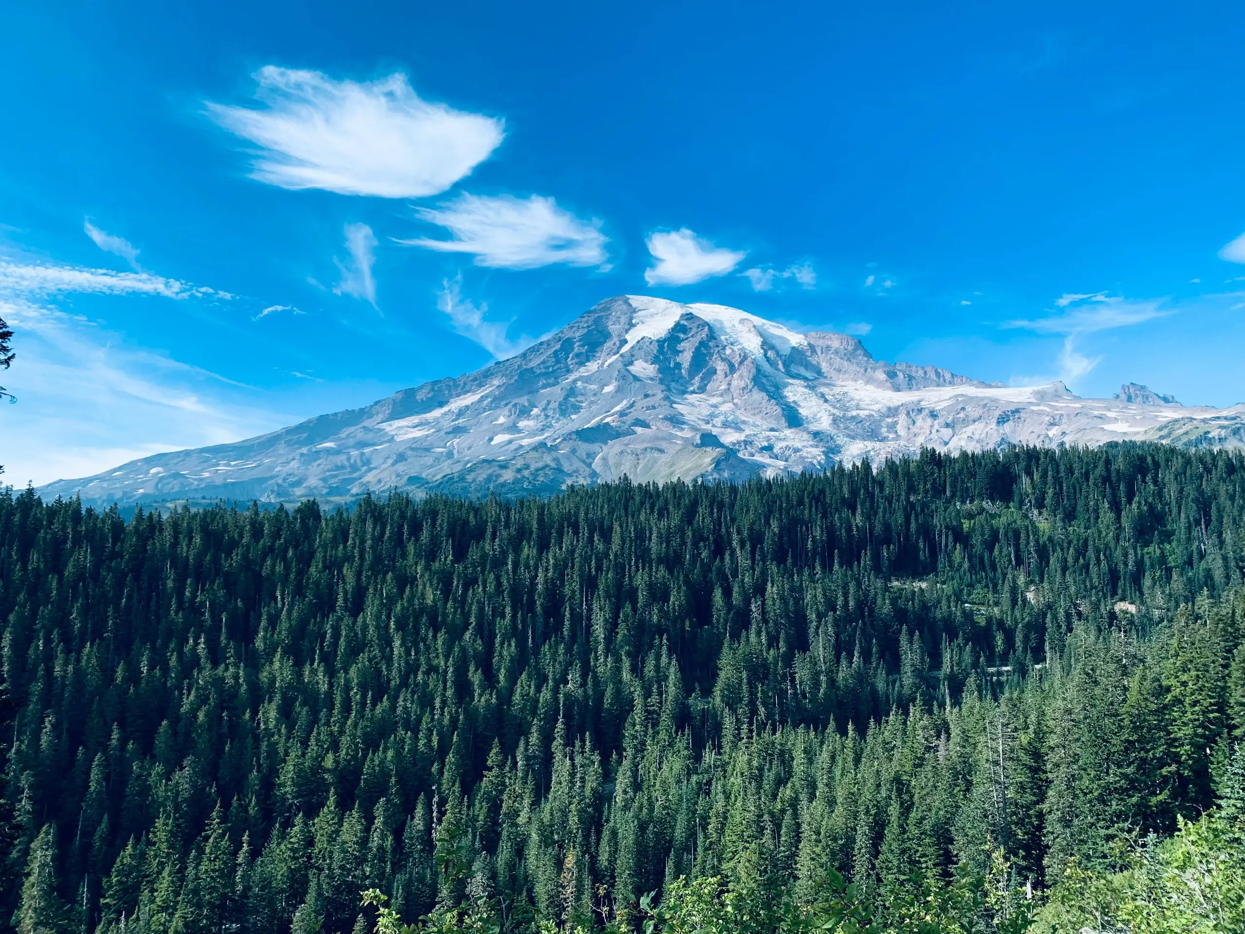 Mount Rainier rising above a Pacific Northwest evergreen forest